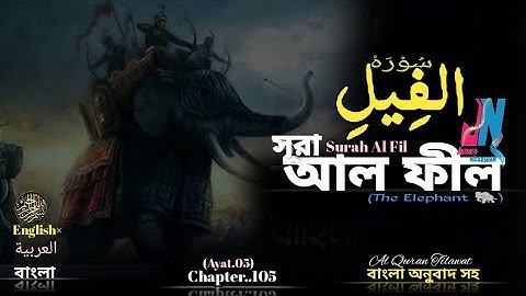 105) সূরা আল ফীল سوره الفيل হস্তি বাহিনী Surah Al Fil Bangla tarjuma Tilawat @jibontoniborsnquran