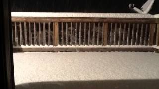 March 2013 Snow Time Lapse