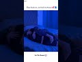 Sleep beside me and hold me forever 💕🫂||Tag your love❣️||#trending#shorts#couplegoal#romantic#love