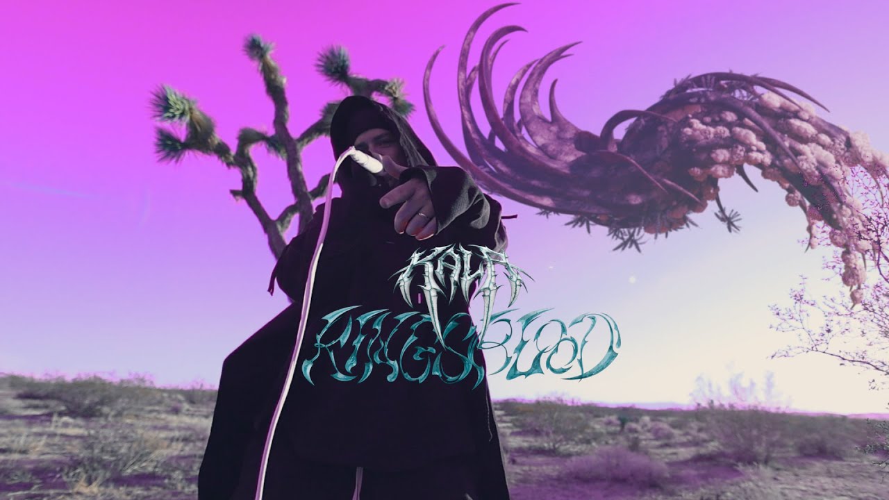 maxresdefault.jpg