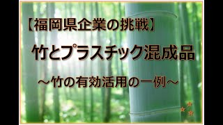 竹とプラスチックの混合品のご紹介。放置竹林問題を軽減できて、脱炭素とSDGsにも貢献できる。福岡県八女市の働く場の提供にも。