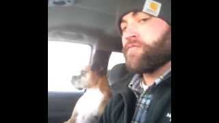 Dog Chest Slap While Cruising For Coyotes