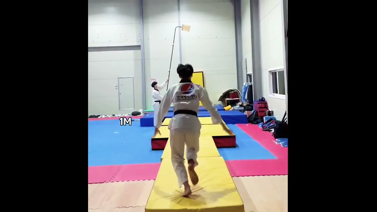 Taekwondo 4M Flip Awesome King S Martial Arts