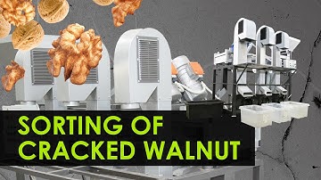 Vibrating Sieve for Walnut Sorting. Efficient sorting of cracked walnut after nutcracker