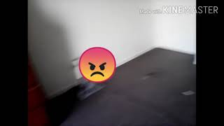 How to make a cat happy