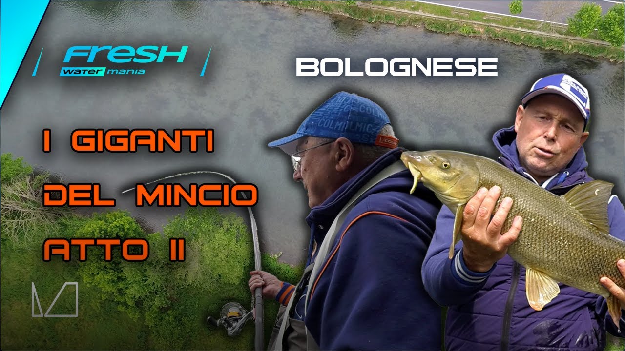 I GIGANTI DEL MINCIO ATTO II - FRESH WATER MANIA - PUNTATA 11 - BOLOGNESE