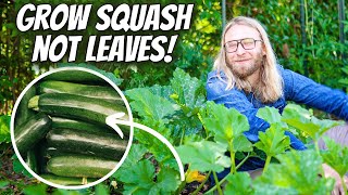 Growing ZUCCHINI Intensively At Home for Maximum Yield and Plant Health | StepbyStep Guide