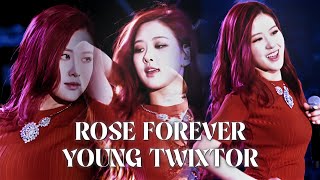 4K QUALITY || ROSE FOREVER YOUNG TWIXTOR CLIPZ FOR EDITING-!