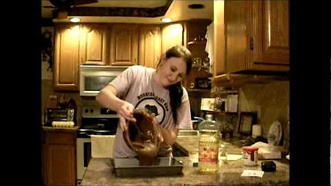 falynn's video project