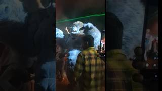 gorilla in the marriage 😮 #viralvideo #vlog #shorts #minivlog #funny #gorilla #marriage #shadi