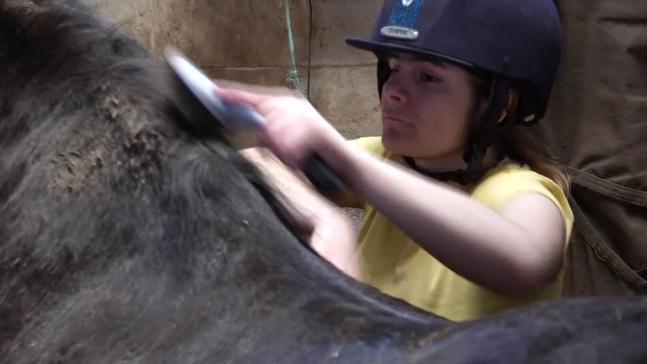 Disability Action Yorkshire HORSE RIDING
