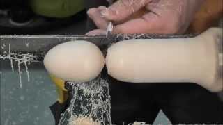 Woodturning: Egg Shape Training HD