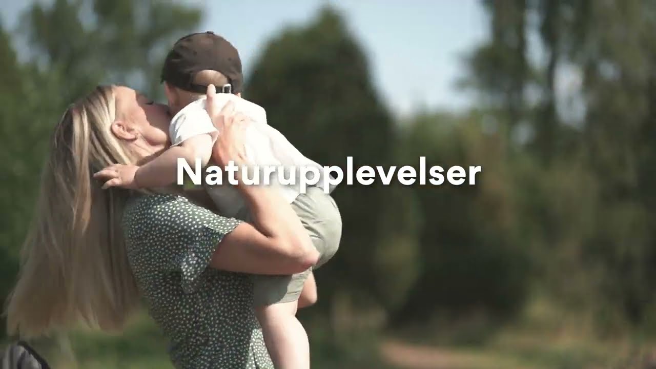 Youtube video preview