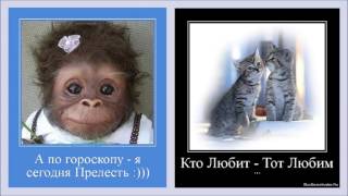 Демотиваторы на тему ЖИЗНЬ Демотиваторы на тему ЖИЗНЬ