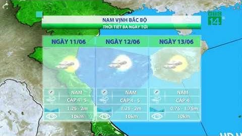 Thời tiết biển 10/06/2019: Biển động ở vịnh Bắc bộ | VTC14