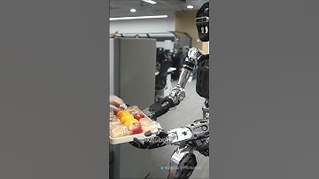 🔥🤖 Humanoid Robot Adam: Your New Office Assistant! 🧑‍💻#humanoidrobot #robot #PNDbotics