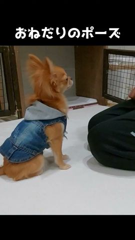 毎日、甦らせることができて幸せです😂