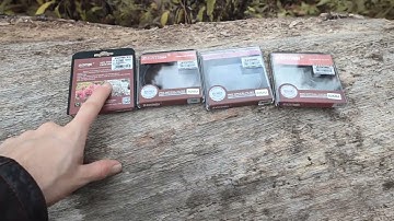 Full-Spectrum Z5 Filter Tests On an Overcast Day