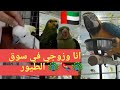 Sharjah Birds Animals Market سوق الطيور بالشارقة 