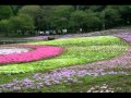 うれしい頃は花一ぱい