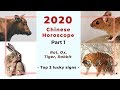 2020 Chinese horoscope part 1 - Rat, Ox, Tiger, Rabbit, and top 3 lucky signs of the year