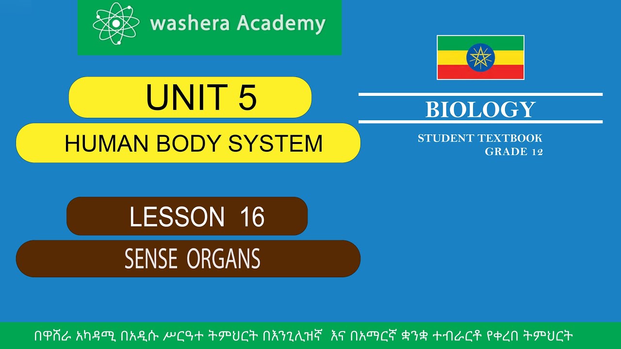 BIOLOGY GRADE 12 UNIT 5 LESSON 16 SENSE ORGANS - YouTube