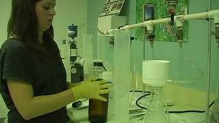 Suspended Sediment Concentration