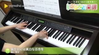 【簡単】サクッとピアノで弾ける！ハッピーバースデーソング