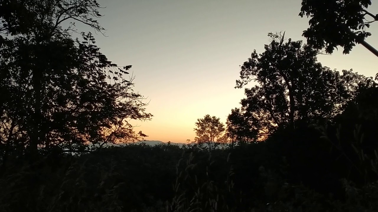 [ASMR]Good morning with the sound of a rooster crowing