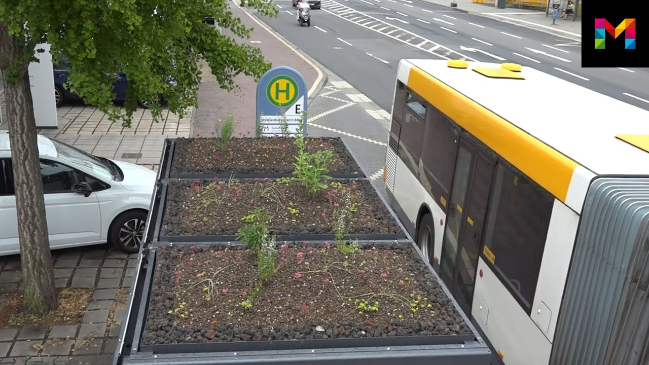 Mainzer Mobilität: Erste begrünte Haltestelle in Mainz