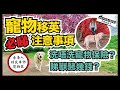 【貓狗在英秘笈】詳細介紹英國養寵物資訊 | 12年在英毛孩家長｜香港人移民資訊BB班