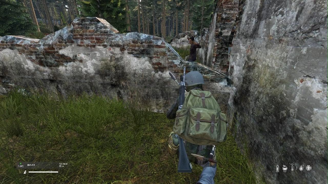 DayZ PlAyEr DoWn BoOm YouTube