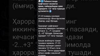 Ob-Havo Yangiliklari