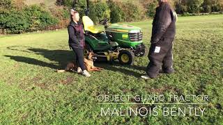 Malinois Bently object Guard