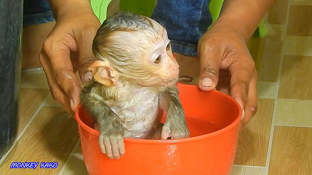 So Amazing Tiny Baby Nina Taking Bath And Play Water In Big Bowl