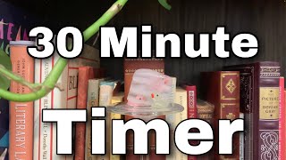 30 Minute Timer - Tiny Ducks in Ice Cube Time Lapse