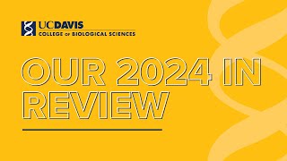 CBS Year in Review - 2024