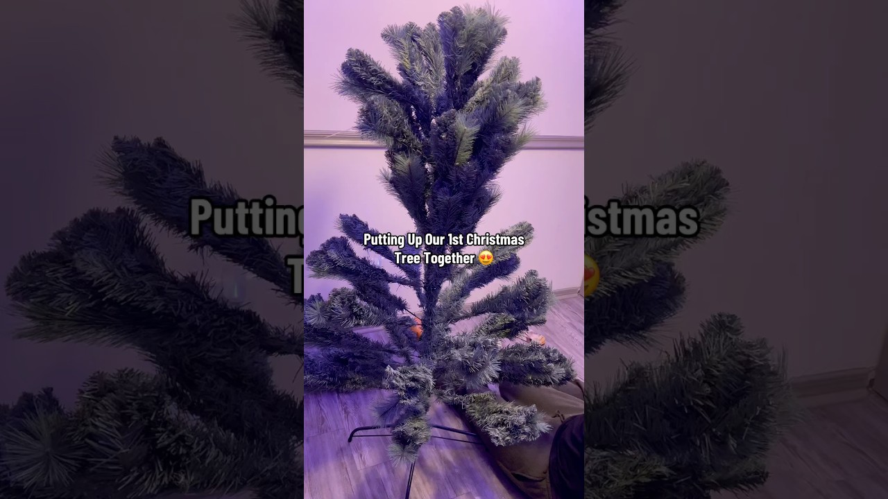 Our 1st Christmas Tree Together 