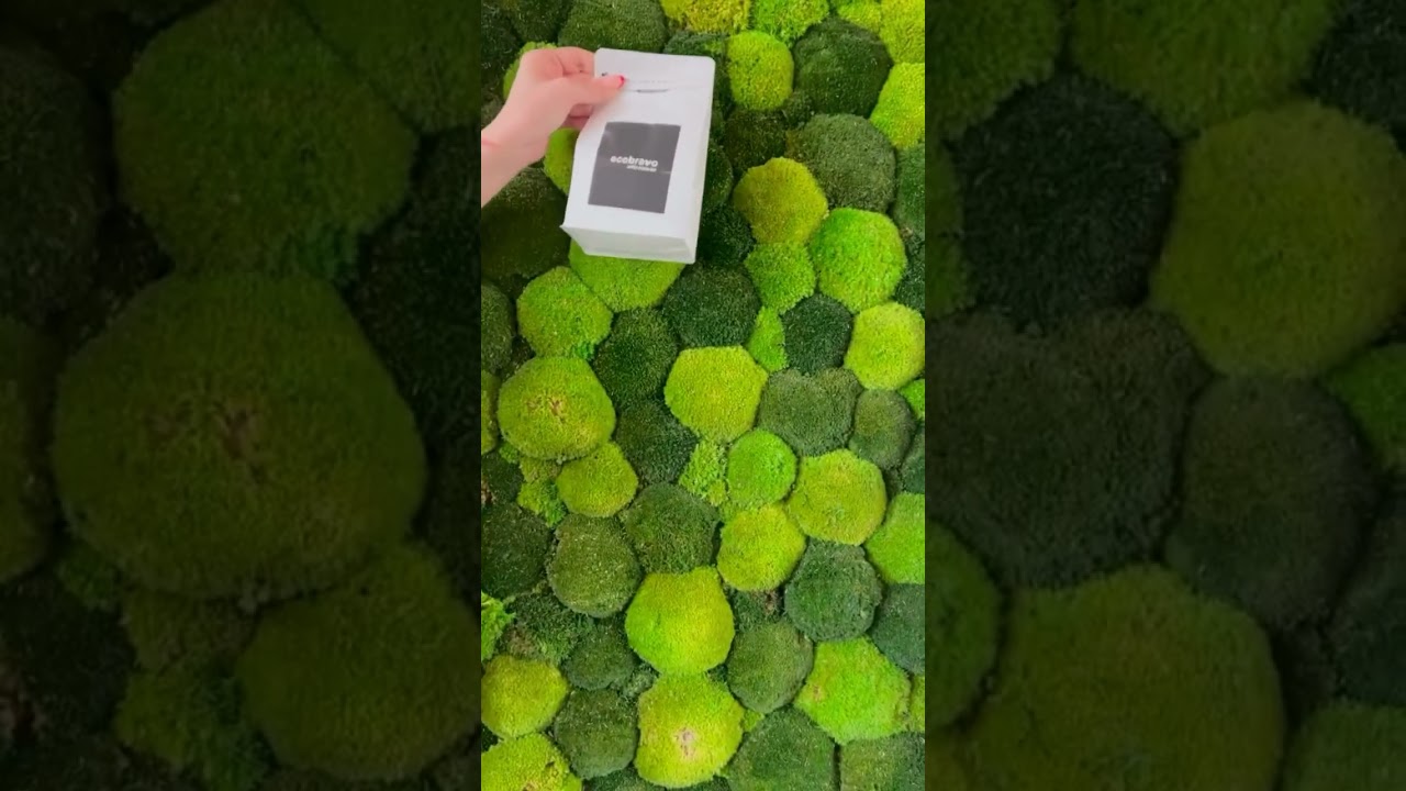 Discover The Ultimate Organic Coffee Experience (Sustainable Delights) 