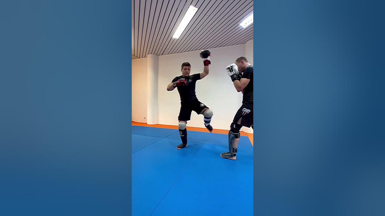 Tibiales Venum Gladiator Kick Muay Thai Mma