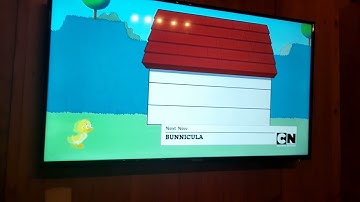 Nuevo Bumper de Bunnicula En Cartoon Network