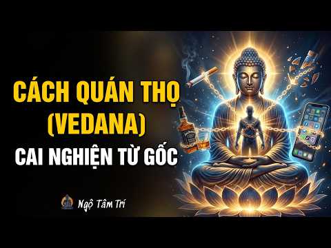 CÁCH QUÁN THỌ (Vedana): Cắt ĐỨT CƠN NGHIỆN và Thói Hư Tật Xấu Từ GỐC | Ngộ Tâm Trí