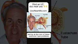 Four symptoms often connected with Eustachian tube dysfunction: vertigo, tinnitus, brain fog and TMD Eustachian Tube Dysfunction Vertigo And Brain Fog Treatment Sarasota And Tampa