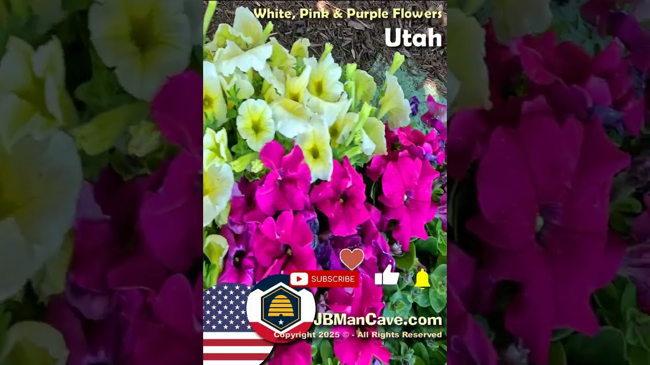 Various FLOWERS LANDSCAPING in UTAH USA JBManCave.com 