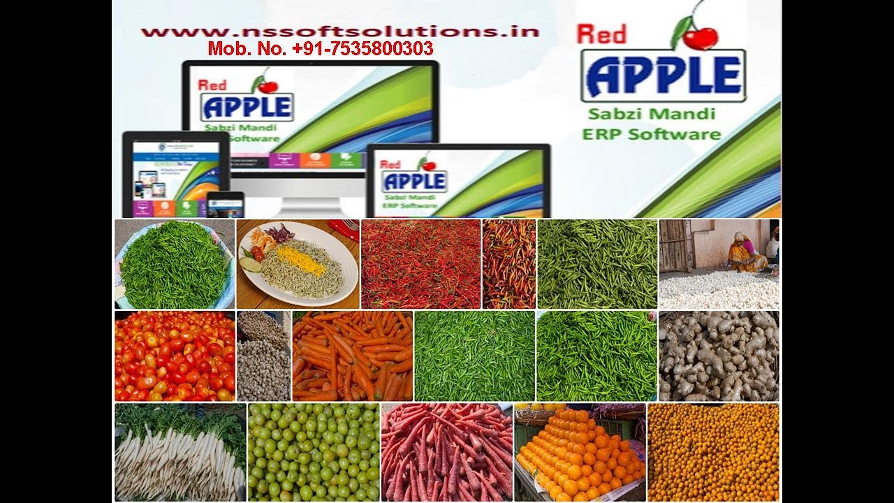 Redapple 11 Sabji Mandi Software