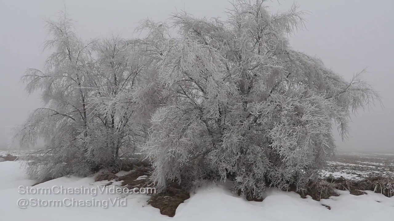 Alberta MN Heavy Freezing Fog And Ice - 11/27/2016
