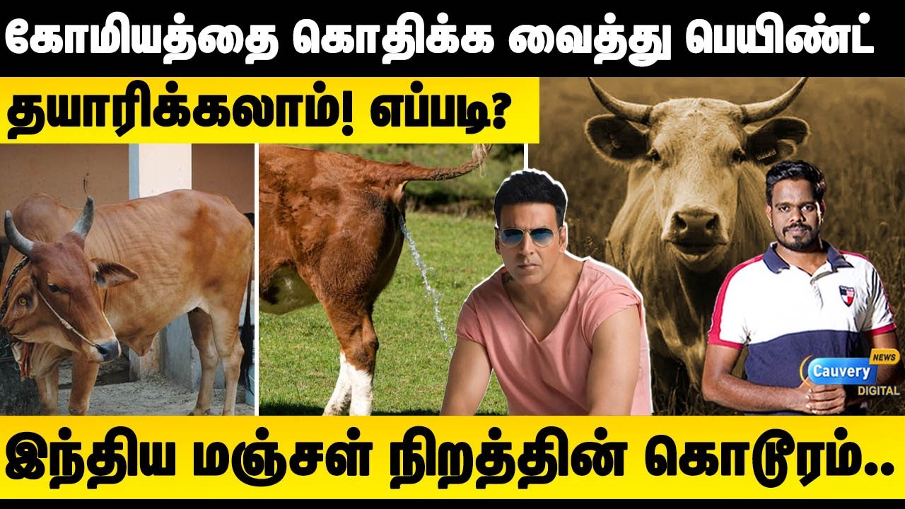 😨 கோமியத்தை வைத்து ஓவியம் வரைந்த கொடுமை!❓❗ Indian Yellow history in Tamil | Van Gogh paintings