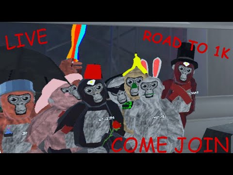 Gorilla tag with you | live | Road to 1k!! | gorilla tag | Oculus Quest 2