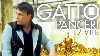 Gatto Panceri - YouTube