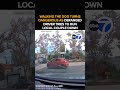 Driver accused of trying to run over couple, dog at LA park